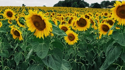 Processed with VSCO with g3 preset