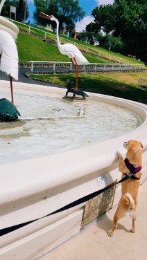 Processed with VSCO with c3 preset