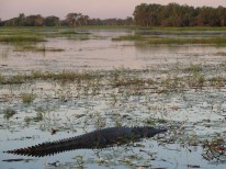 Northern Territory Tour 2007 BABY (260)