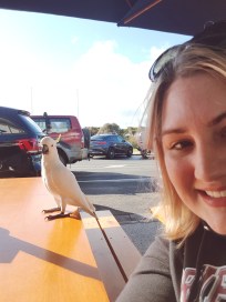 Processed with VSCO with s1 preset