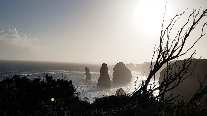 Processed with VSCO with s2 preset