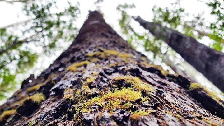 Processed with VSCO with s3 preset