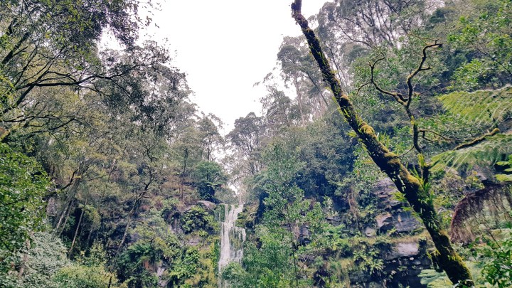 Processed with VSCO with c3 preset