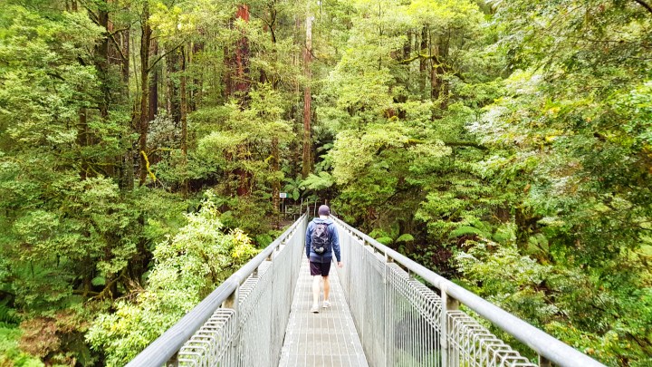 2018-05-06 09.22.21 1.jpg