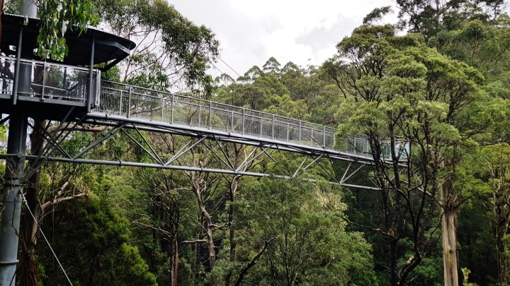 Processed with VSCO with s3 preset