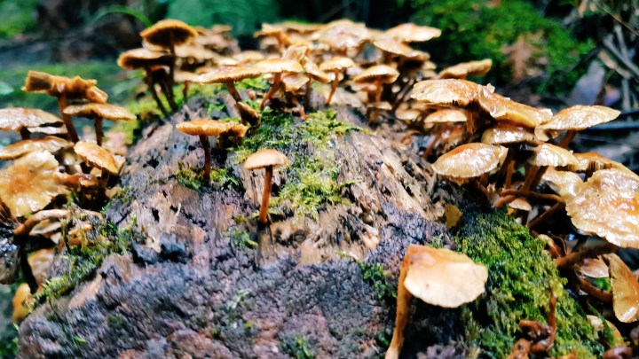 Processed with VSCO with c3 preset