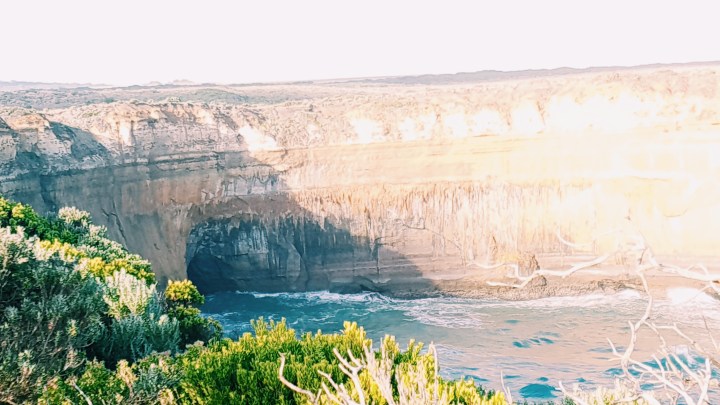 Processed with VSCO with c1 preset