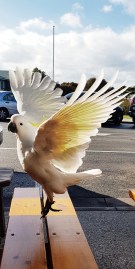 Processed with VSCO with s2 preset